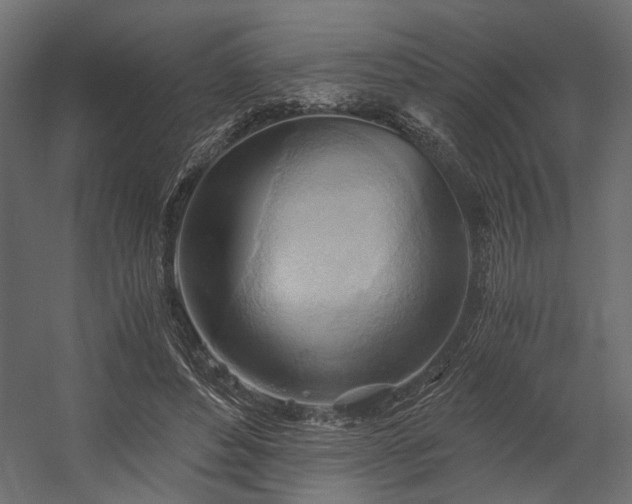 X0000058800496200510031324