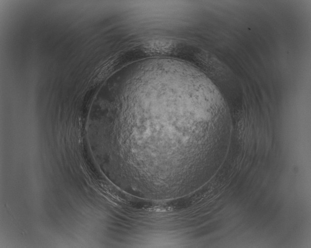 X0000058800498200510031324