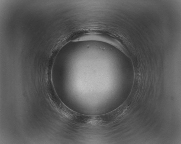 X0000058800504200510031324