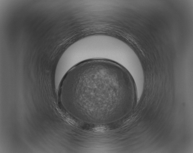X0000058800505200510031324