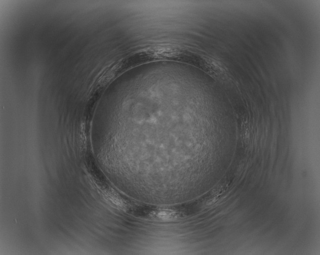 X0000058800506200510031324