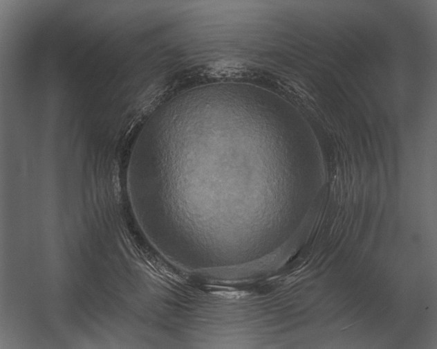 X0000058800508200510031324