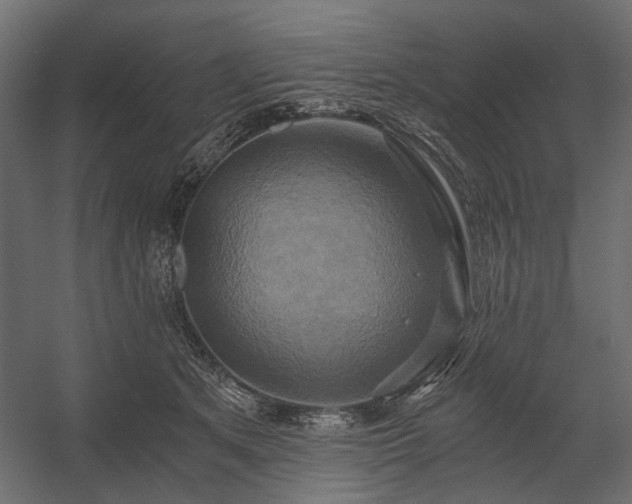 X0000058800513200510031323