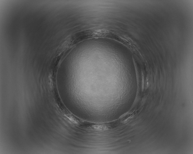 X0000058800520200510031323