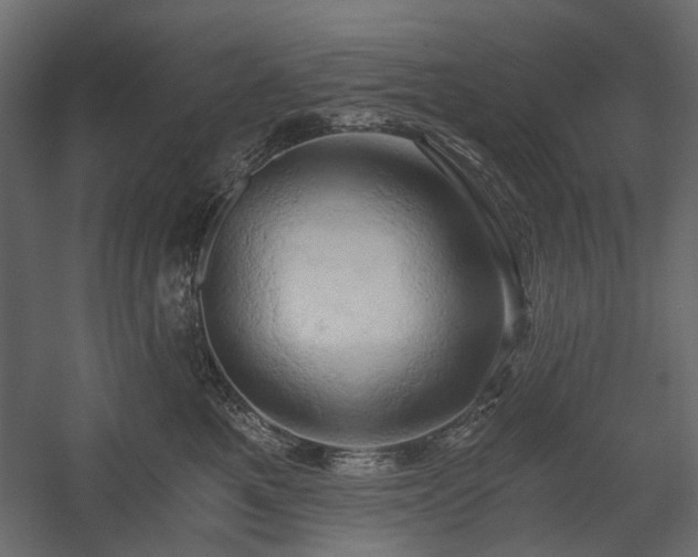 X0000058800521200510031323