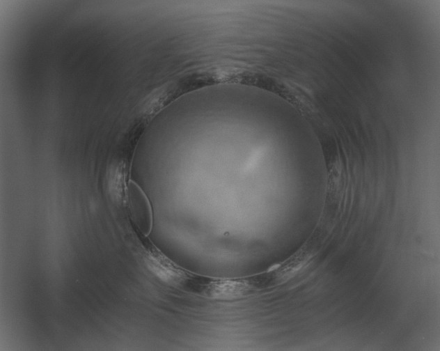 X0000058800527200510031323