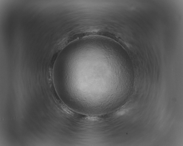 X0000058800528200510031323