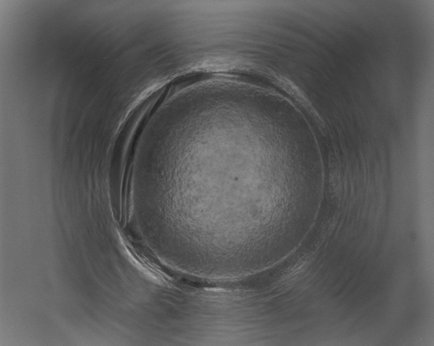 X0000058800530200510031322