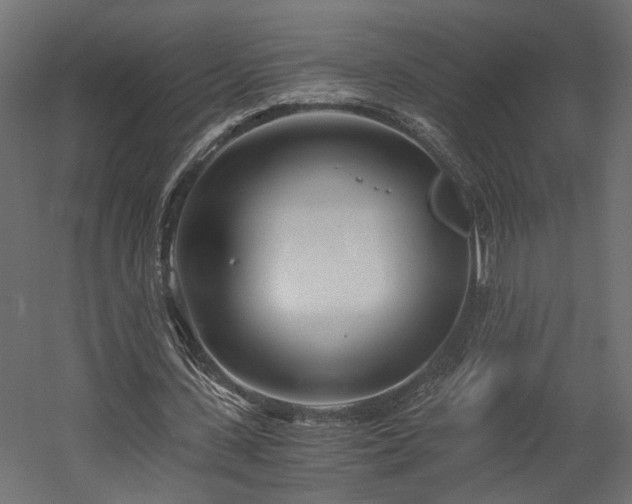 X0000058800531200510031322