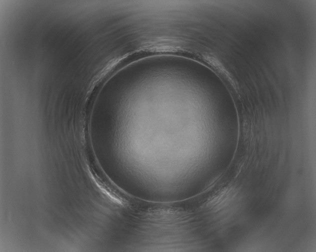 X0000058800533200510031322