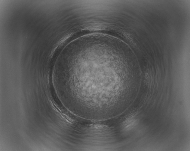 X0000058800539200510031323
