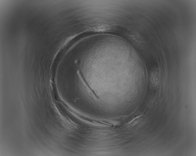X0000058800540200510031323