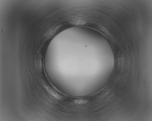 X0000058800541200510031323