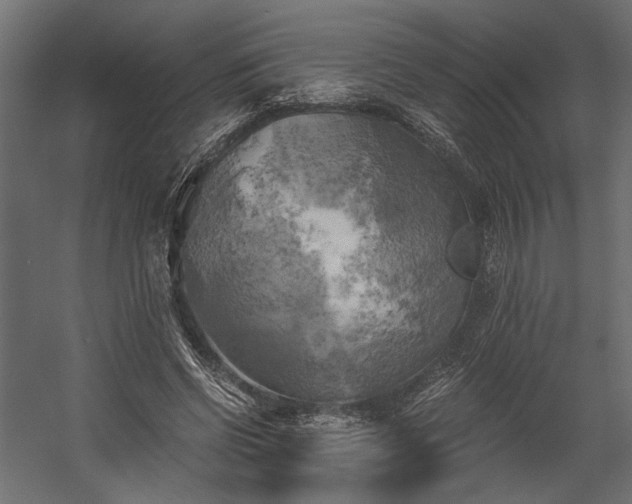 X0000058800542200510031323