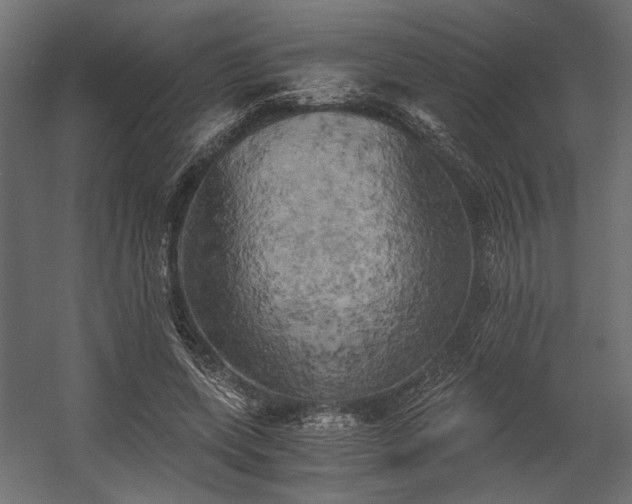 X0000058800543200510031323