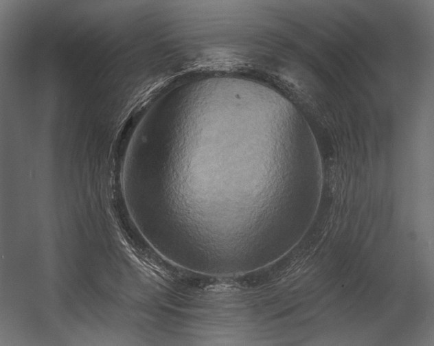 X0000058800544200510031323
