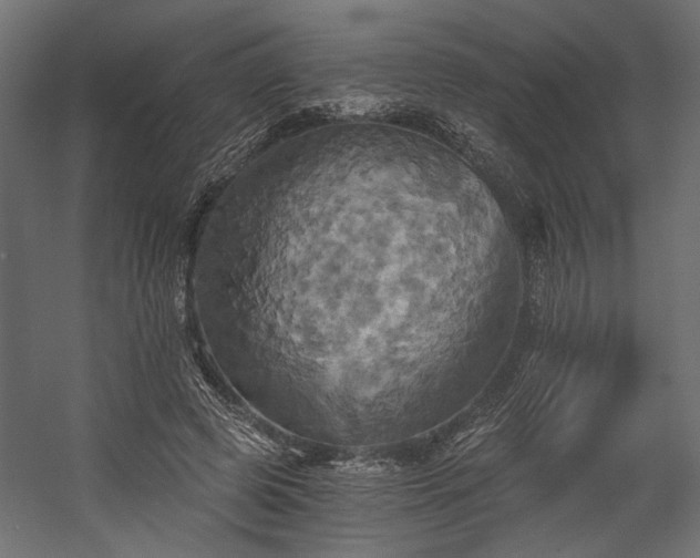 X0000058800545200510031323
