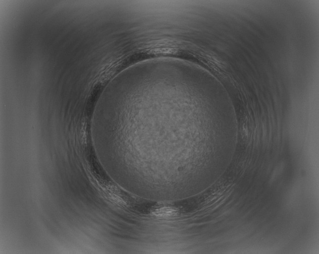 X0000058800551200510031323