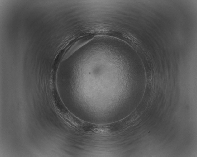 X0000058800552200510031323