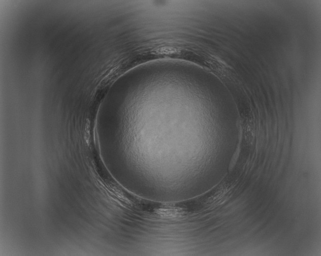 X0000058800556200510031323