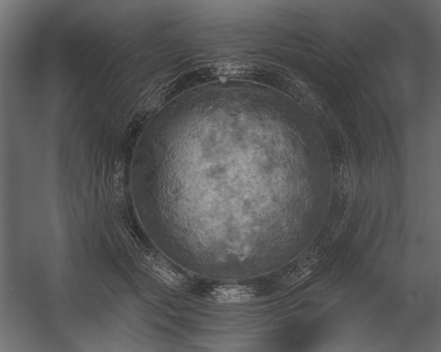X0000058800557200510031323