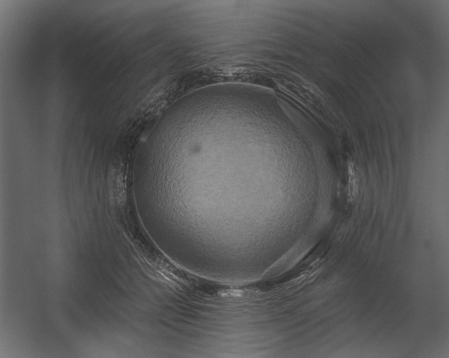 X0000058800558200510031323