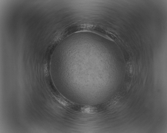 X0000058800564200510031323