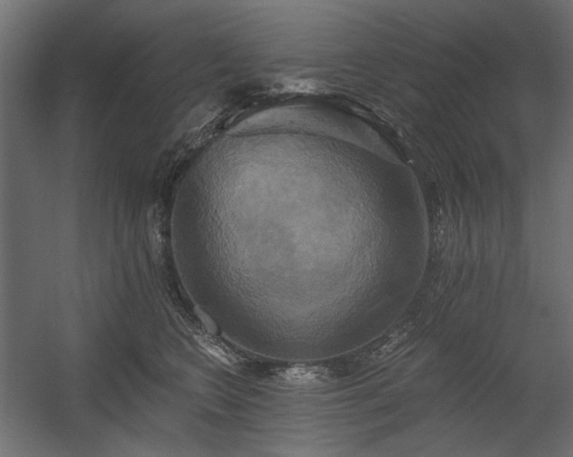 X0000058800566200510031323