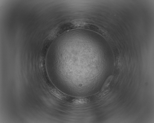 X0000058800567200510031323