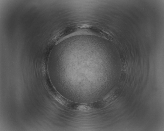 X0000058800568200510031323