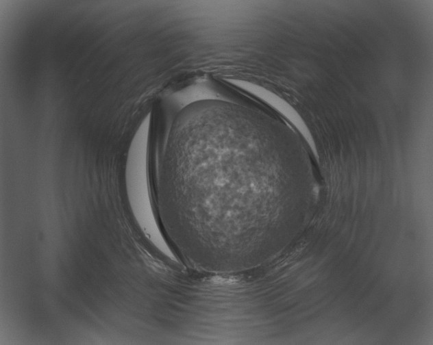 X0000058800570200510031323