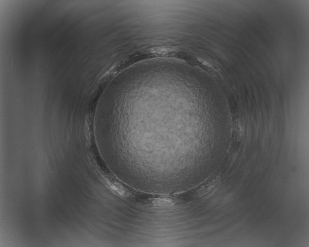 X0000058800572200510031323