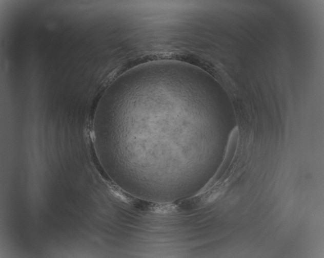 X0000058800576200510031323