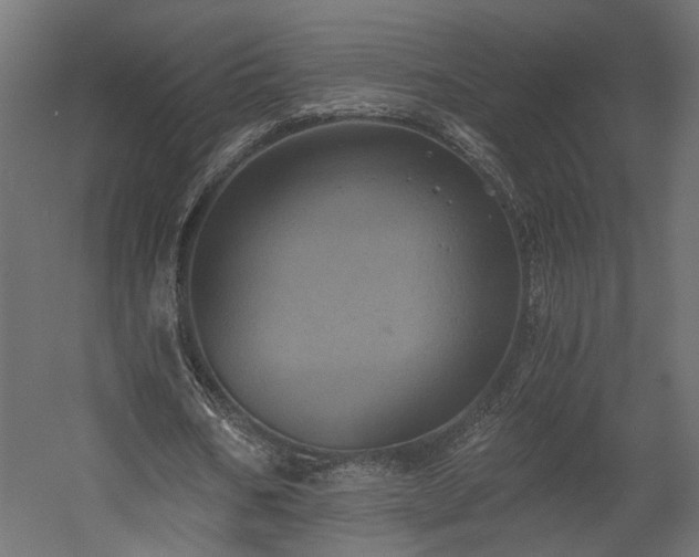 X0000058800578200510031322