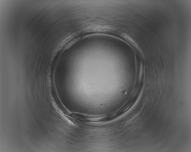 X0000058800581200510031322