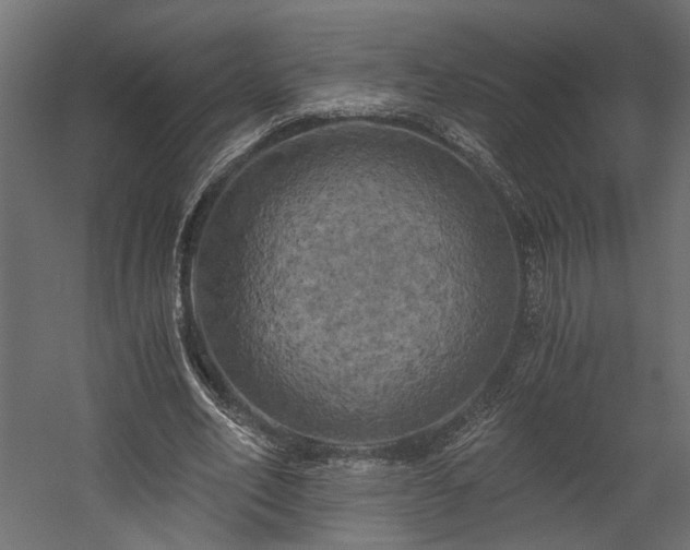 X0000058800582200510031322