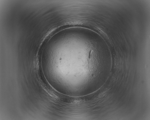 X0000058800584200510031322