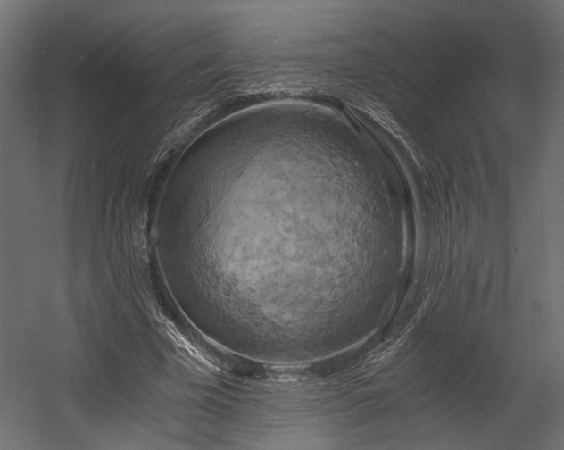 X0000058800585200510031322