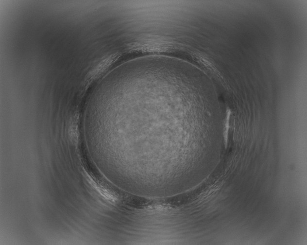X0000058800586200510031322