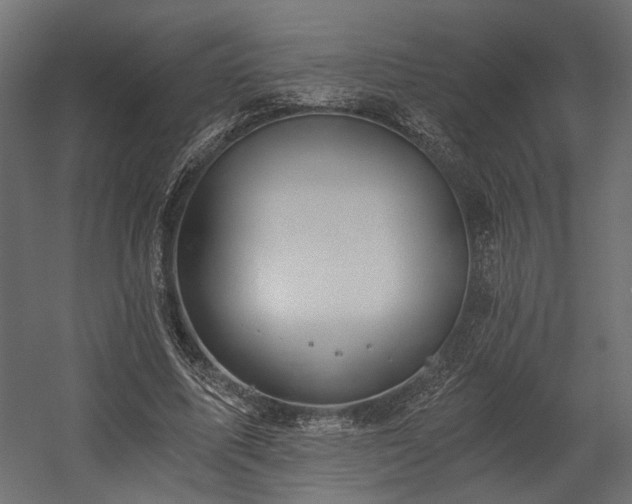 X0000058800587200510031322