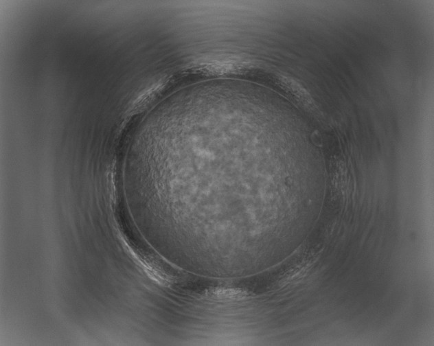 X0000058800590200510031322