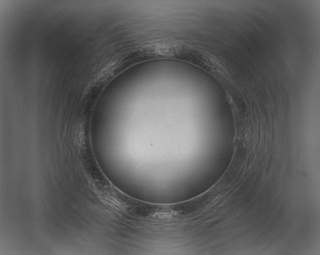 X0000058800595200510031322
