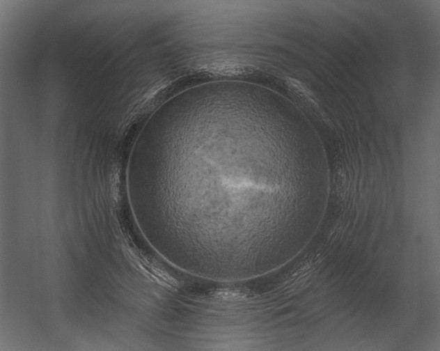 X0000058800596200510031322