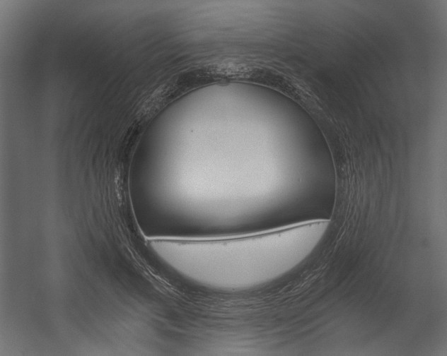 X0000058800597200510031322