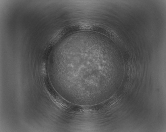 X0000058800598200510031322