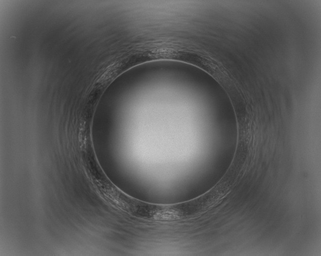 X0000058800599200510031322