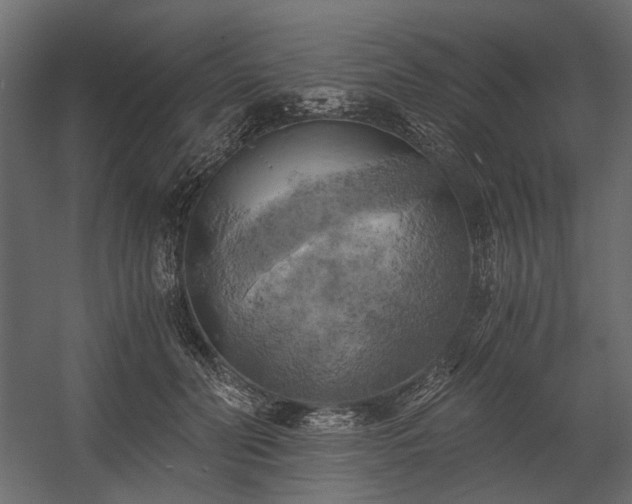 X0000058800606200510031322