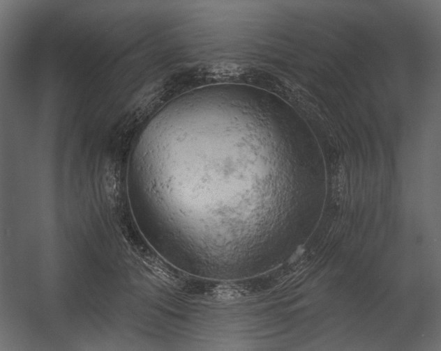 X0000058800608200510031322