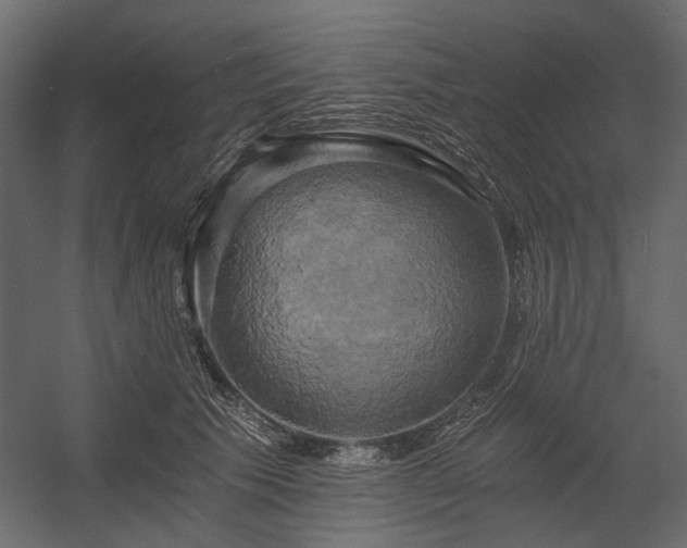 X0000058800609200510031322
