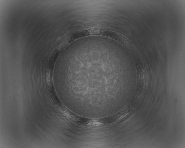 X0000058800610200510031322